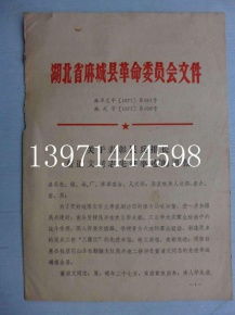 红色记忆的载体 文革时期的书籍报刊与文献档案